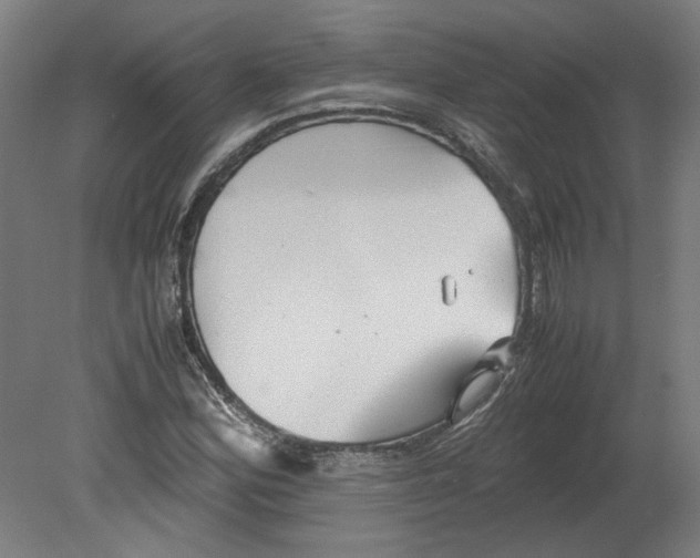 X0000080661164200701050935