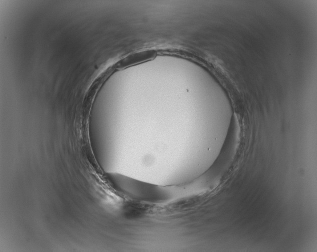 X0000080661165200701050935