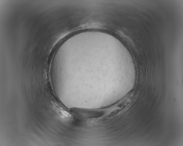 X0000080661166200701050935