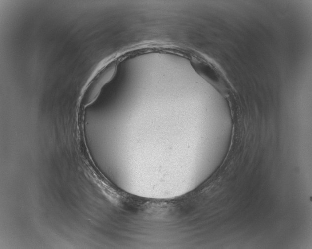 X0000080661168200701050935