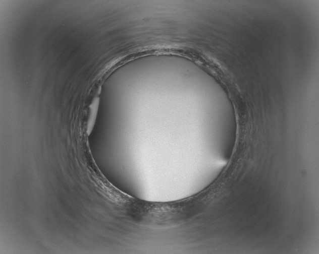 X0000080661169200701050935