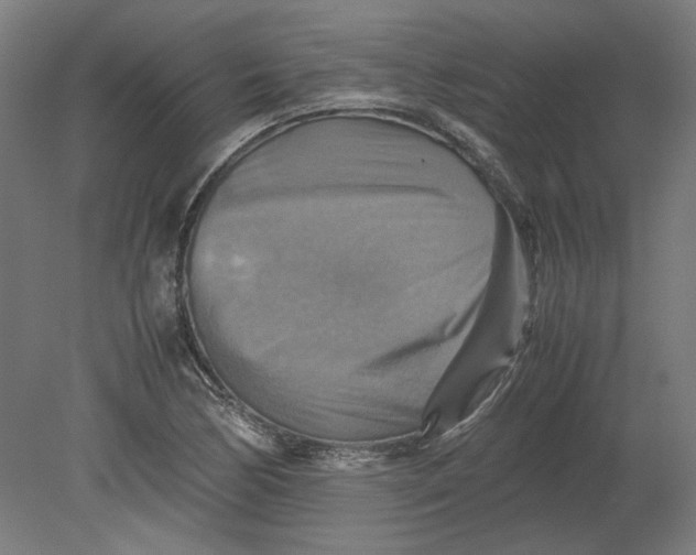 X0000080661170200701050935