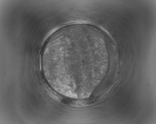 X0000080661171200701050935