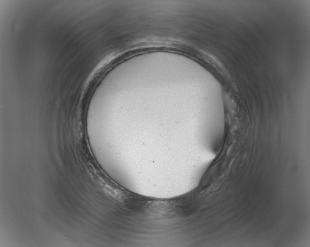 X0000080661172200701050935