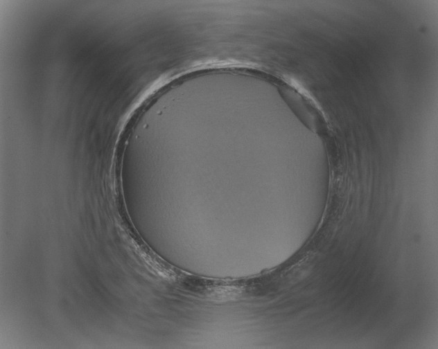 X0000080661173200701050935