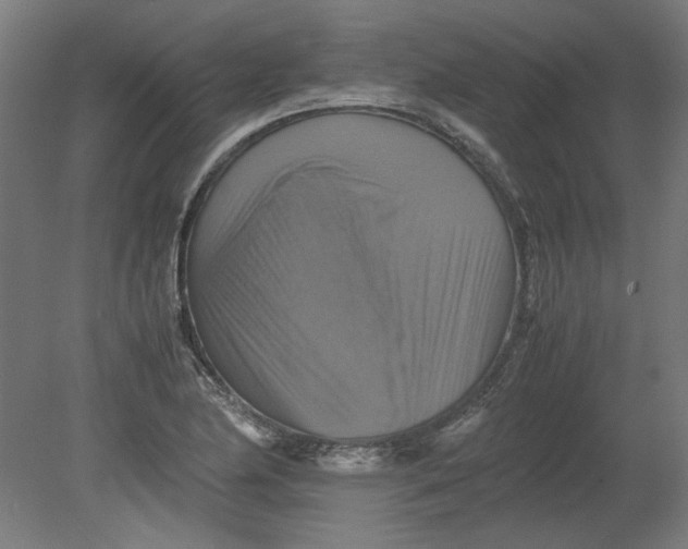 X0000080661174200701050935