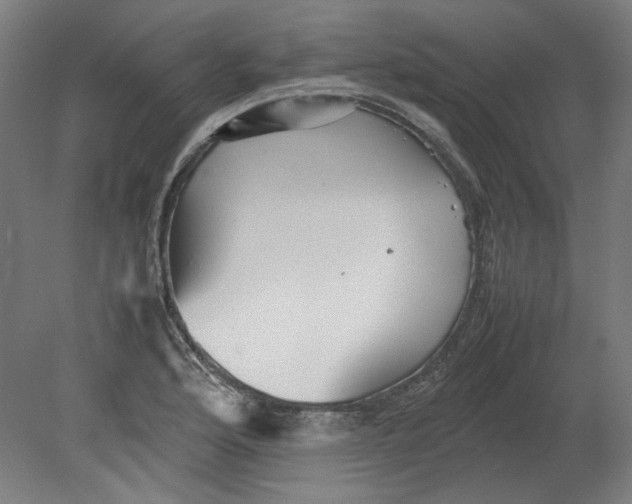 X0000080661176200701050935