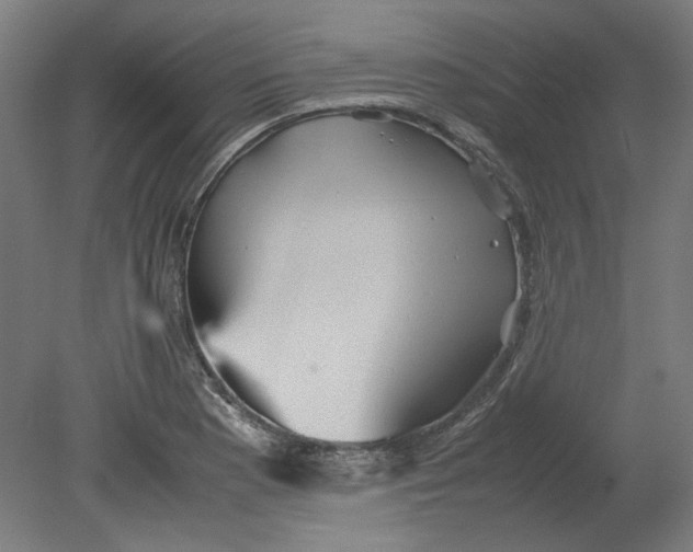 X0000080661177200701050935