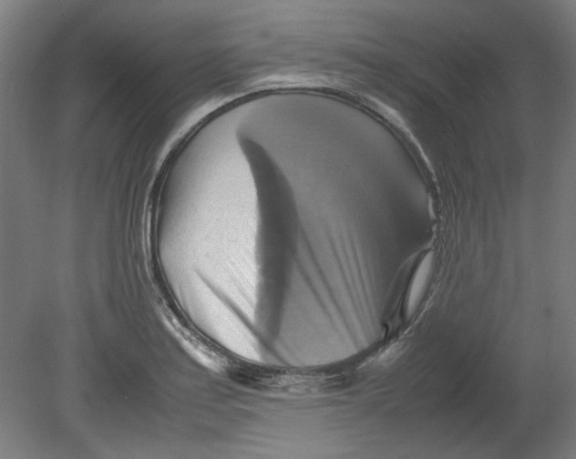 X0000080661179200701050935