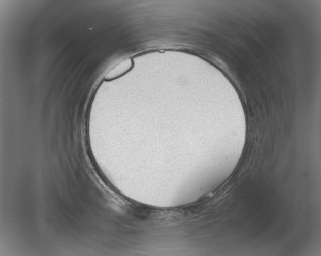 X0000080661187200701050935