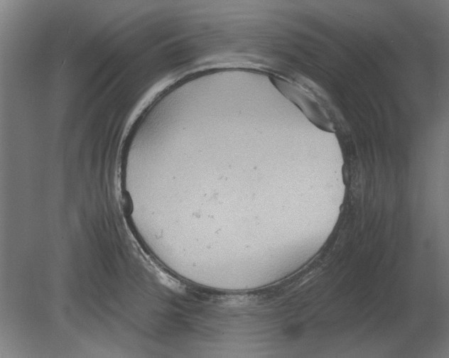 X0000080661188200701050935