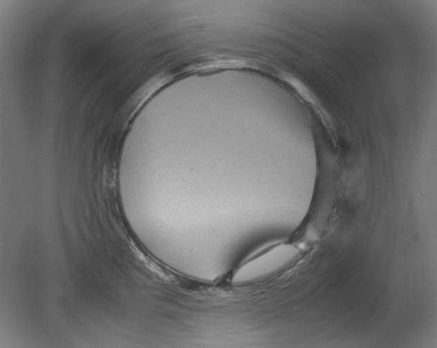 X0000080661193200701050935