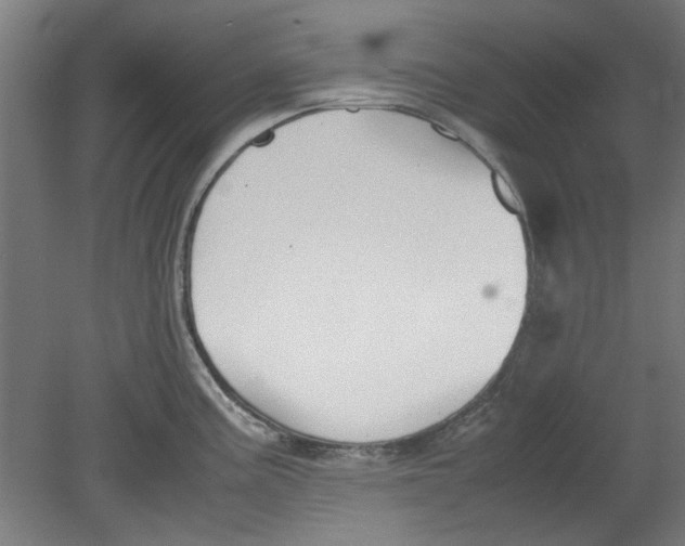 X0000080661195200701050935