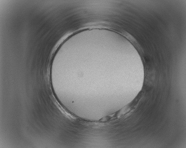 X0000080661196200701050935