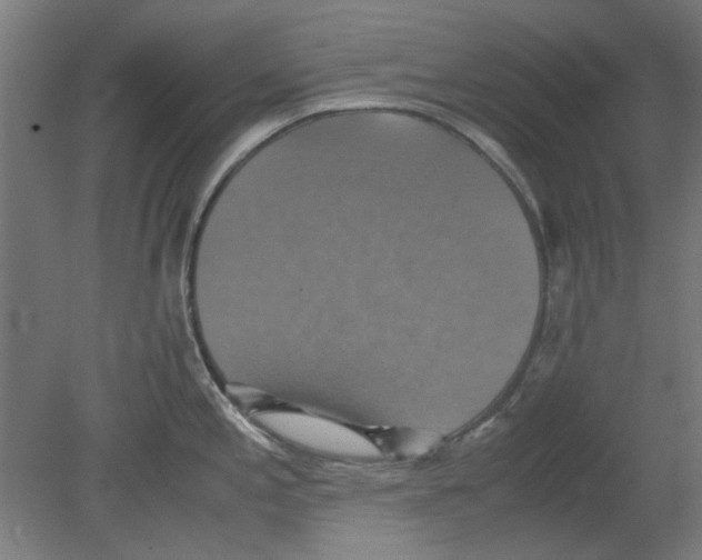 X0000080661197200701050934