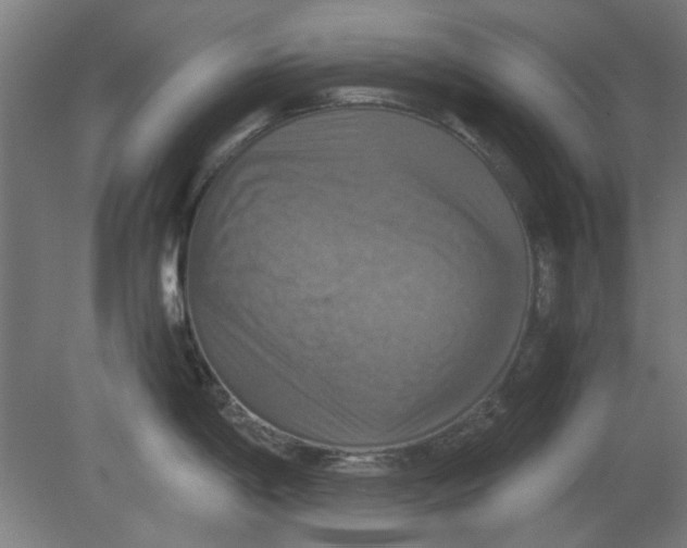 X0000080661198200701050934