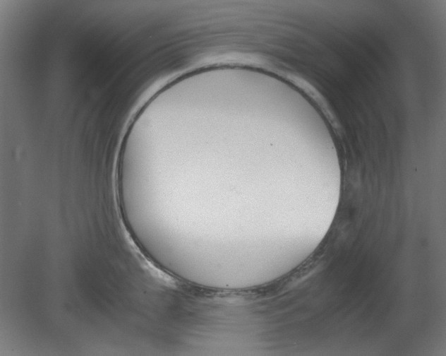 X0000080661199200701050934