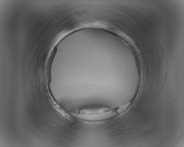 X0000080661200200701050934