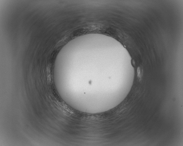 X0000080661203200701050934