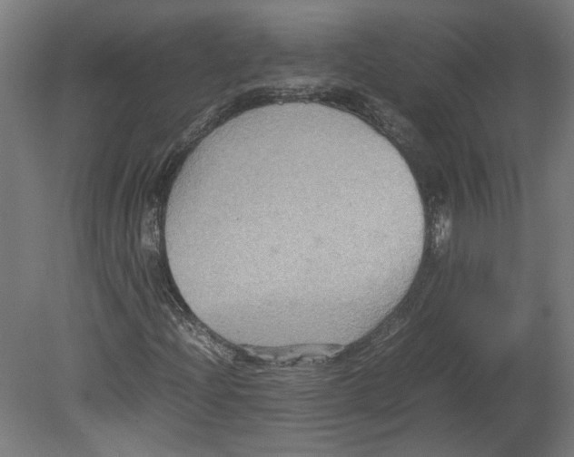 X0000080661204200701050934