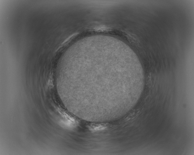 X0000080661205200701050934