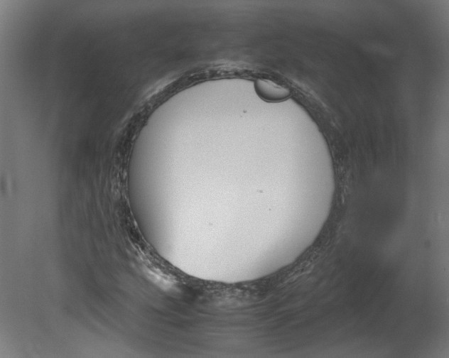 X0000080661207200701050934