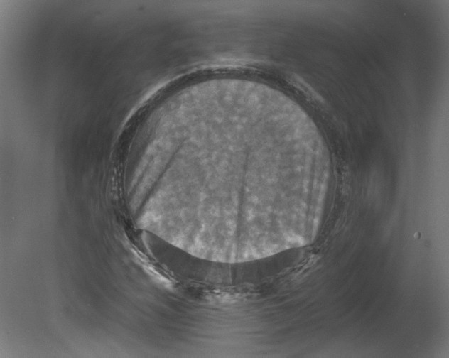 X0000080661208200701050934