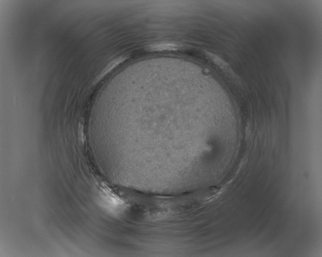 X0000080661209200701050934