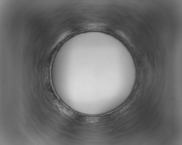 X0000080661211200701050934