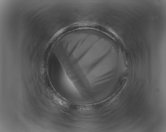 X0000080661213200701050934