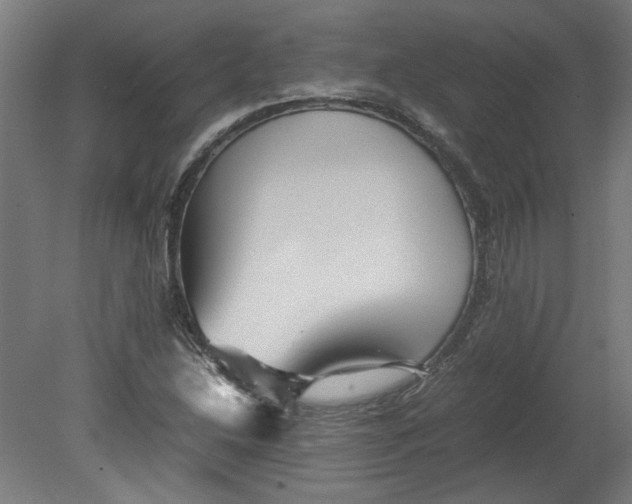 X0000080661214200701050934