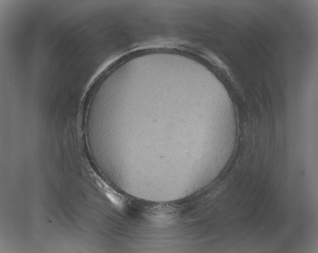 X0000080661216200701050934