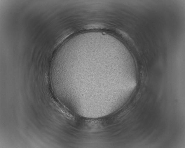 X0000080661217200701050934