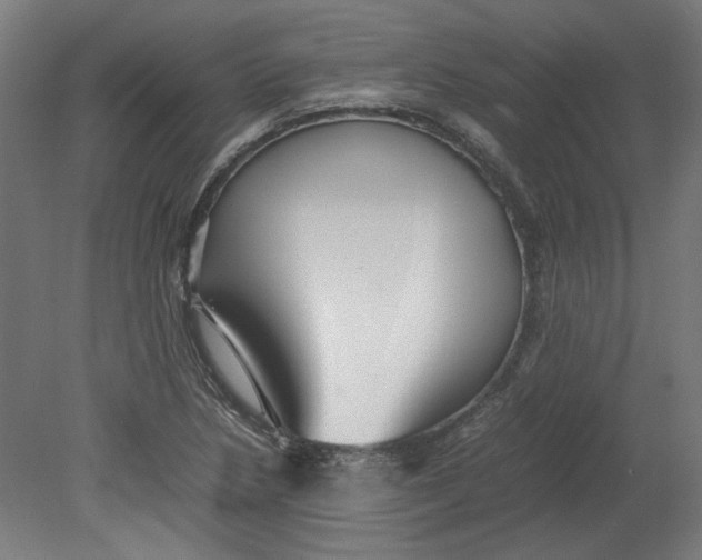 X0000080661218200701050934