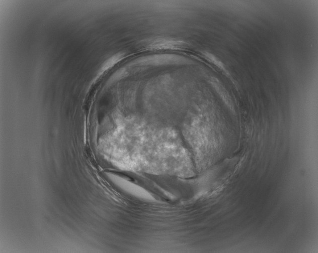 X0000080661219200701050934