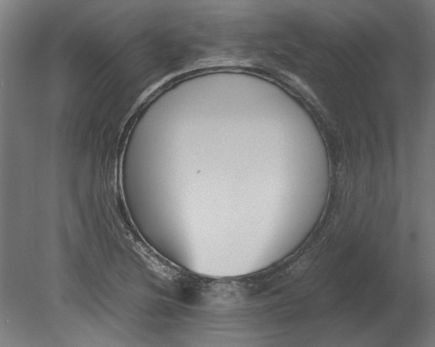 X0000080661220200701050934