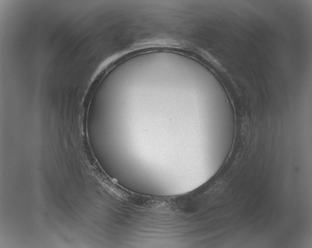 X0000080661222200701050934