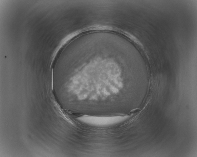 X0000080661223200701050934