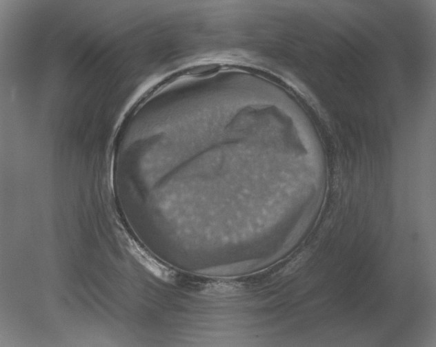 X0000080661224200701050934