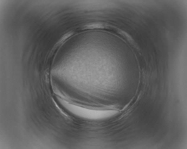 X0000080661225200701050934