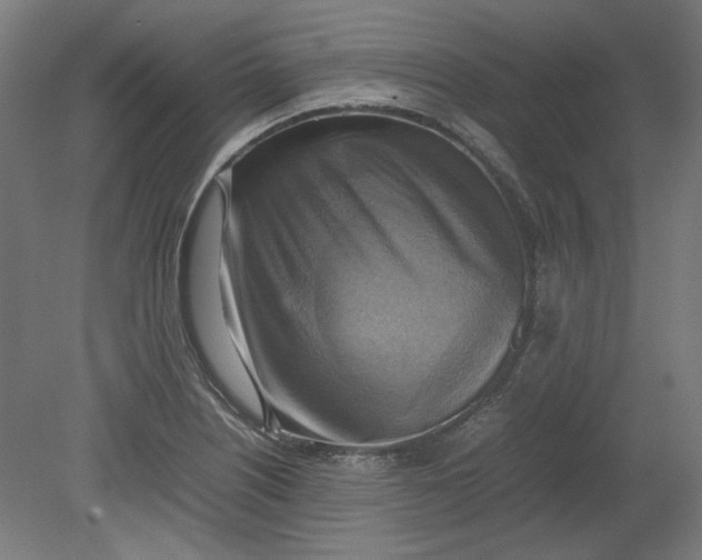 X0000080661226200701050934