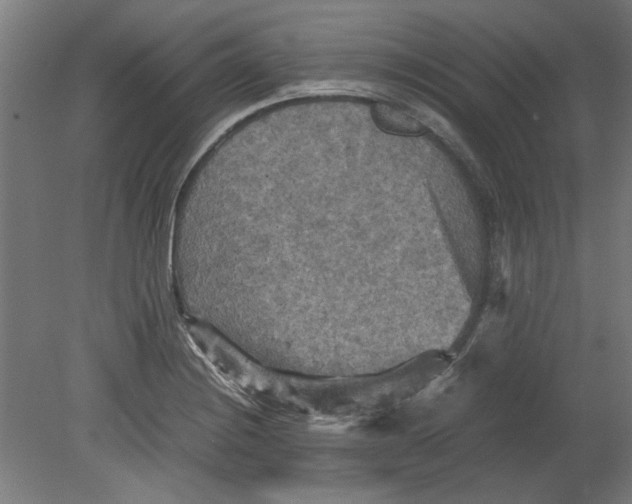 X0000080661228200701050934