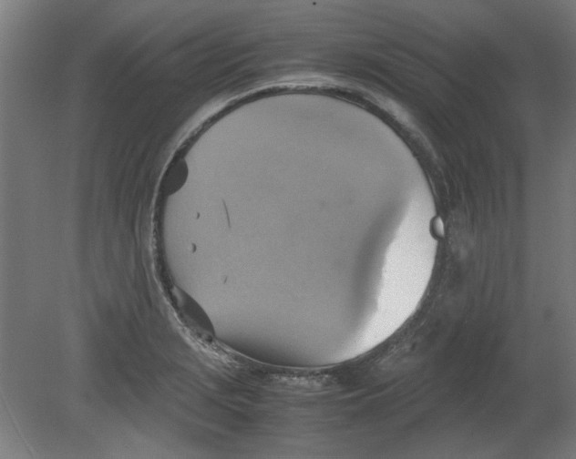 X0000080661229200701050934