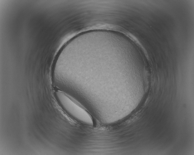 X0000080661230200701050934