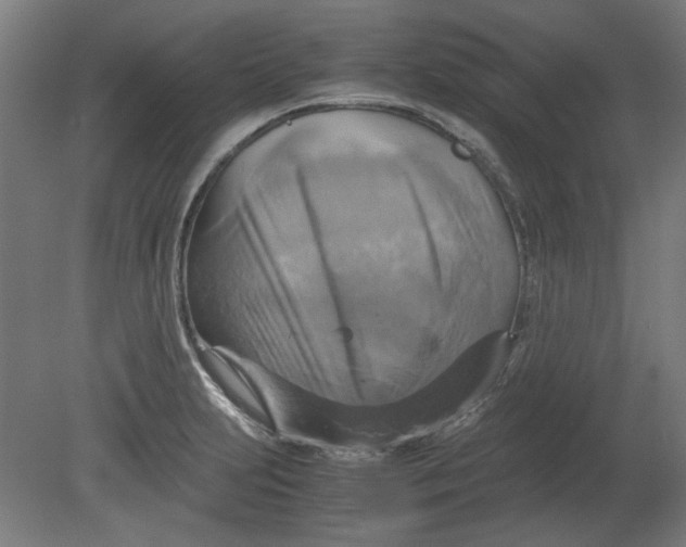 X0000080661231200701050934