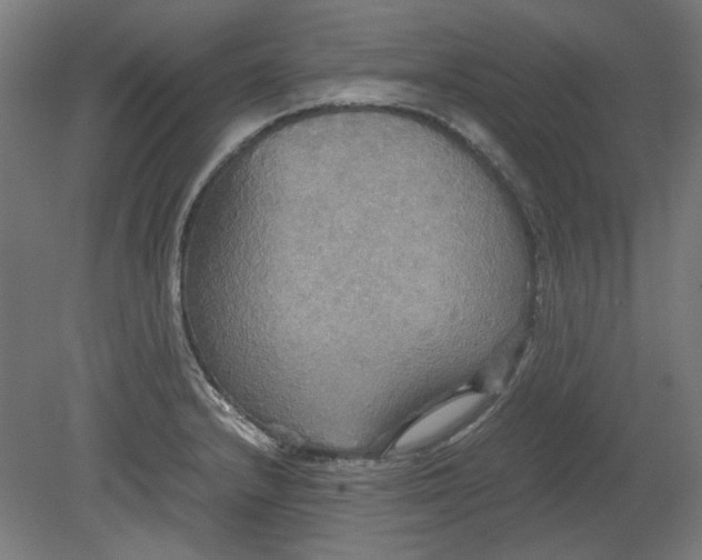 X0000080661232200701050934