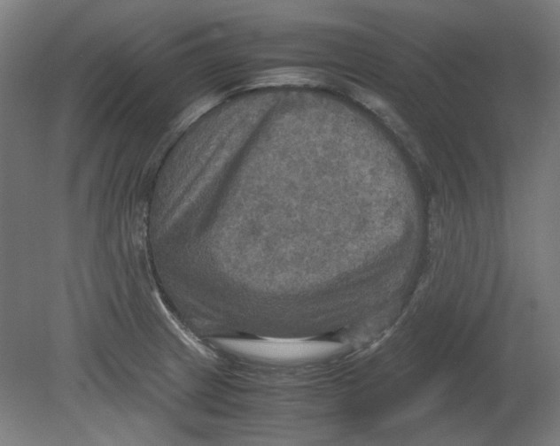 X0000080661233200701050934