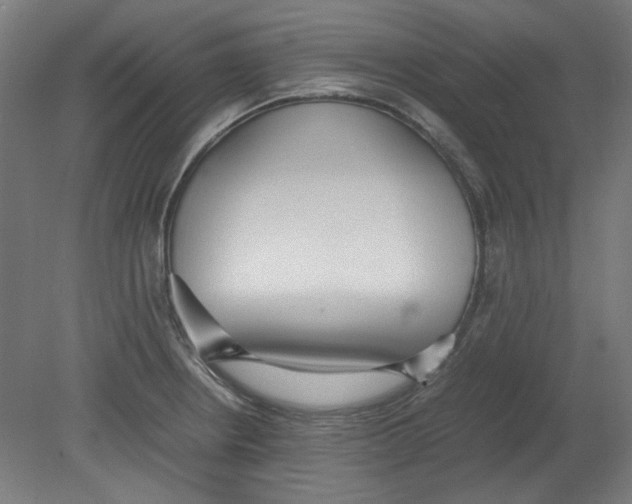 X0000080661234200701050934