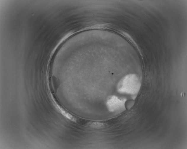 X0000080661235200701050934