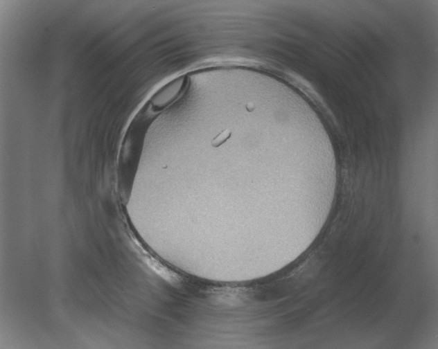 X0000080661236200701050934